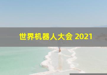 世界机器人大会 2021